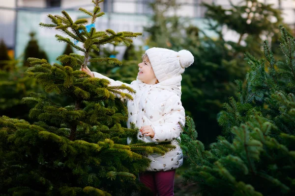 Adorable niñita sosteniendo el árbol de Navidad en el mercado. Niño feliz bebé sano en ropa de moda de invierno elegir y comprar gran árbol de Navidad en la tienda al aire libre. Familia, tradición, celebración. — Foto de Stock