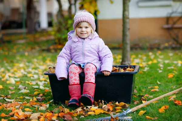 Pequena menina criança trabalhando com ancinho no jardim de outono ou parque. Criança saudável feliz adorável que se diverte com a ajuda de folhas caídas de árvores. Ajudante bonito ao ar livre. aprendizagem da criança ajuda pais — Fotografia de Stock