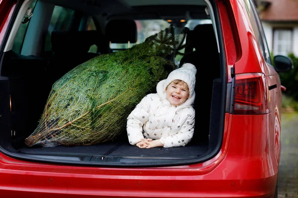 Imádnivaló kislány karácsonyfával a családi autóban. Boldog egészséges csecsemő gyermek téli divat ruhák kiválasztása és megvásárlása nagy karácsonyfa a hagyományos ünneplés. — Stock Fotó