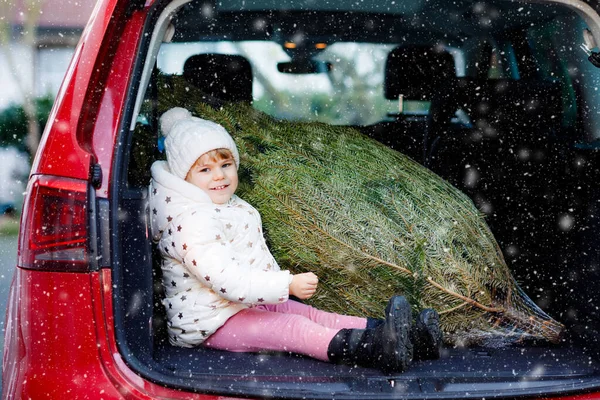 Imádnivaló kislány karácsonyfával a családi autóban. Boldog egészséges csecsemő gyermek téli divat ruhák kiválasztása és megvásárlása nagy karácsonyfa a hagyományos ünneplés. — Stock Fotó