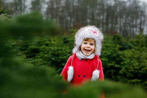 Adorable little toddler girl with Christmas tree on fir tree cutting plantation . Happy child in winter fashion clothes choosing, cut and felling own xmas tree in forest, family tradition in Germany — Stock Photo, Image