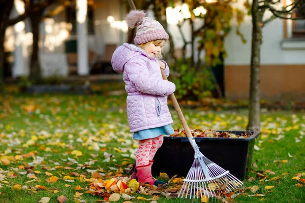 Kleines Mädchen, das mit Harke im herbstlichen Garten oder Park arbeitet. Entzückend glückliches gesundes Kind, das Spaß daran hat, umgestürzte Blätter von Bäumen zu beseitigen. Netter Helfer im Freien. Kindererziehung hilft Eltern — Stockfoto