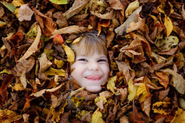 Sonbahar parkında küçük bir kızın sonbahar portresi sıcak bir Ekim gününde meşe ve akçaağaç yaprağıyla. Çocuk bir sürü yaprağın üzerinde yatıyor. Sonbaharda aile eğlencesi. Çocuk gülümsüyor. Sağlıklı bir kız bebek