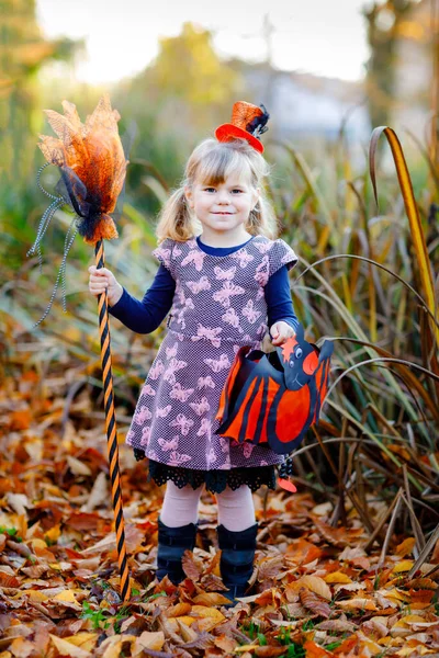 打扮成巫婆的可爱的小女孩庆祝万圣节。快乐的孩子在户外,戴着橙色滑稽的帽子,拿着女巫扫帚和蝙蝠灯笼袋.10月是一个美丽的家庭节日. — 图库照片