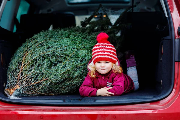 Entzückendes kleines Mädchen mit Weihnachtsbaum im Auto der Familie. Frohes gesundes Baby in Wintermode Kleidung auswählen und kaufen großen Weihnachtsbaum für traditionelle Feier. — Stockfoto