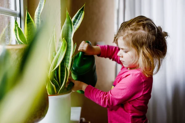 Små småbarn flicka vattna blommor och växter på fönstret hemma. Söta barn som hjälper, hushållsliv. Glad frisk unge hålla vatten kan, arbetar och lutar hjälp. Grönska, miljökoncept. — Stockfoto