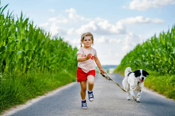 Jolie petite fille d'âge préscolaire qui va se promener avec un chien de famille dans la nature. Joyeux enfant souriant s'amuser avec chien, courir et étreindre. Joyeux famille à l'extérieur. Amitié et amour entre animaux et enfants — Photo