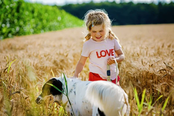 Jolie petite fille d'âge préscolaire qui va se promener avec un chien de famille dans la nature. Joyeux enfant souriant s'amuser avec chien, courir et étreindre. Joyeux famille à l'extérieur. Amitié et amour entre animaux et enfants — Photo