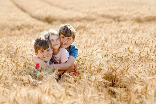 Buğday tarlasında sarılan iki okul çocuğu ve küçük kız kardeş. Üç mutlu çocuk birlikte oynuyor ve güneşli bir yaz günü eğleniyorlar. Birbirini seven kardeşler.. — Stok fotoğraf