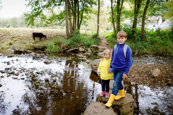 Dwójka małych dzieci wędrujących po lesie. Chłopiec i dziewczynka mijają strumień. Szczęśliwe zdrowe dzieci bawiące się w przyrodzie, spędzające rodzinne wakacje, na świeżym powietrzu w jesienny lub letni dzień — Zdjęcie stockowe