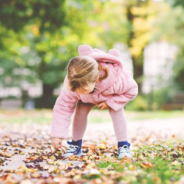 Очаровательная милая малышка собирает каштаны в парке осенним днем. Счастливый ребенок развлекается поиском орехов и листвы. Осенние мероприятия с детьми. — стоковое фото