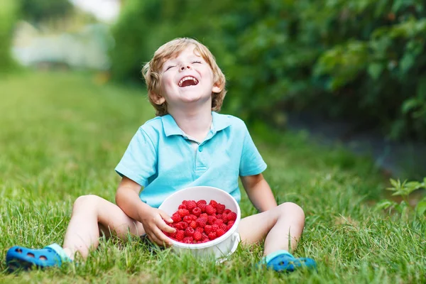 Kleiner blonder Junge freut sich über seine Ernte auf Himbeerfarm — Stockfoto