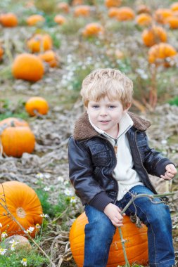 Kabak alanda küçük yürümeye başlayan çocuk