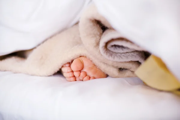 Feet of little sleeping child — Stock Photo, Image