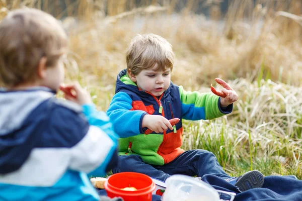 Two little sibling boys having picnic near forest lake, nature — Stock Photo, Image