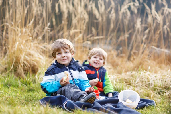 Two little sibling boys having picnic near forest lake, nature — Stock Photo, Image