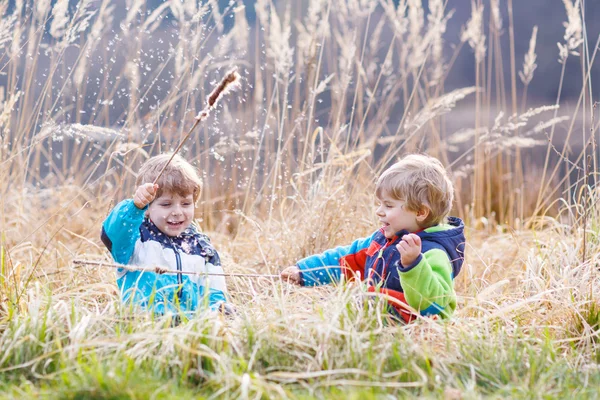 Two little sibling boys fighting and having fun — Stock Photo, Image