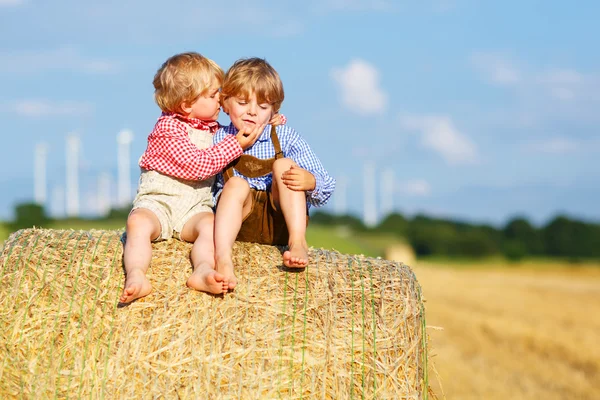 Two little sibling boys and friends sitting on hay stack — Stock Photo, Image