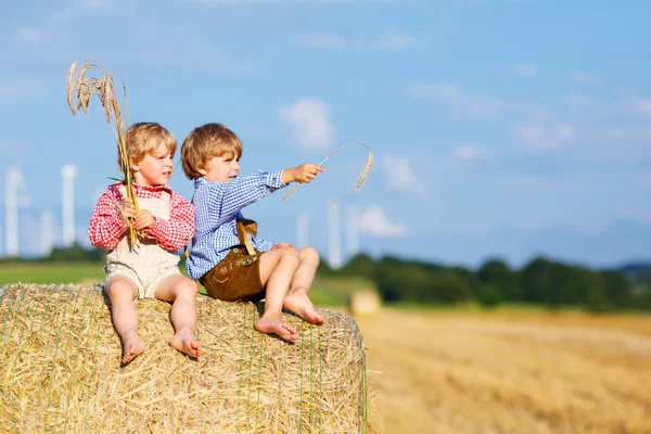 Два маленьких друга и друзья сидят на стоге сена — стоковое фото