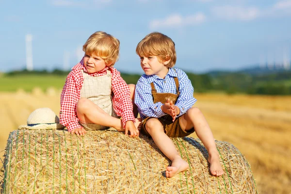 Two little sibling boys and friends sitting on hay stack — Stock Photo, Image