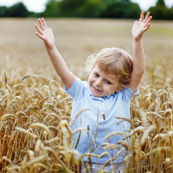 Feliz niño divirtiéndose en el campo de trigo en verano —  Fotos de Stock