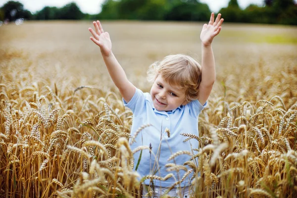 Feliz niño divirtiéndose en el campo de trigo en verano —  Fotos de Stock