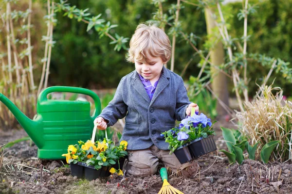 Liten pojke trädgårdsskötsel och plantera blommor i trädgården — Stockfoto