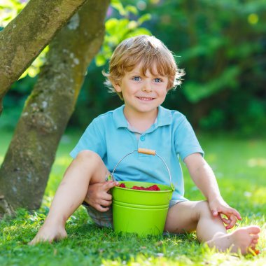 Ahududu home g yiyen sevimli küçük çocuğu okulöncesi çocuk