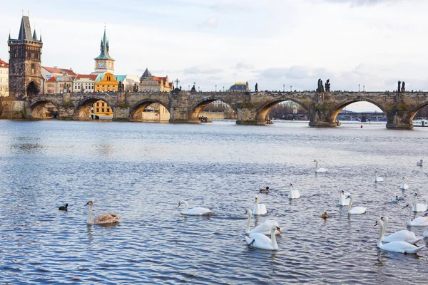 Panorama on Charles Bridge in Prague in the evening — Stock Photo, Image