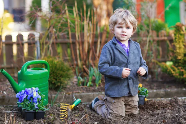 Little boy gardening and planting flowers in garden — Stock Photo, Image