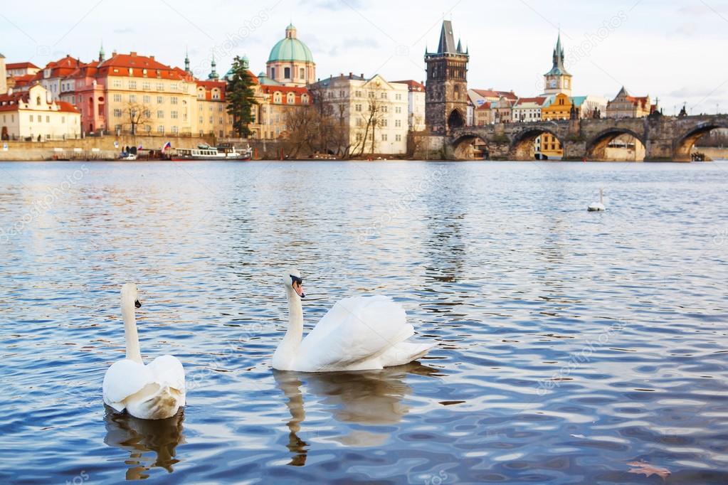 Panorama on Charles Bridge in Prague in the evening