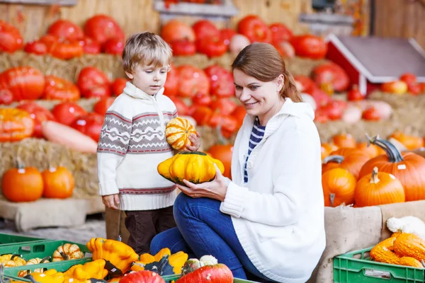 Jeune mère et son petit fils jouant sur la ferme patch de citrouille . — Photo