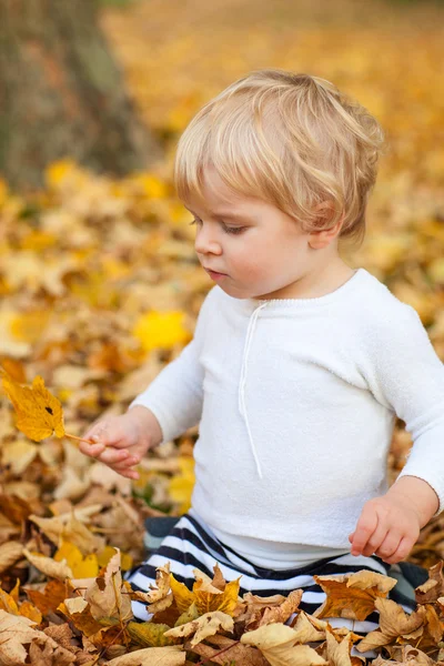 Little toddler boy playing in autumn park — Stock Photo, Image