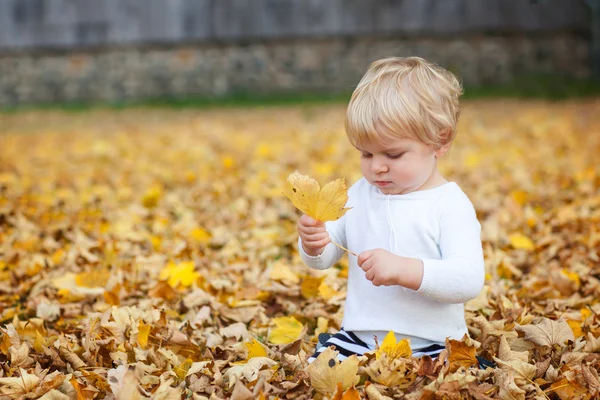 Menino criança brincando no parque de outono — Fotografia de Stock