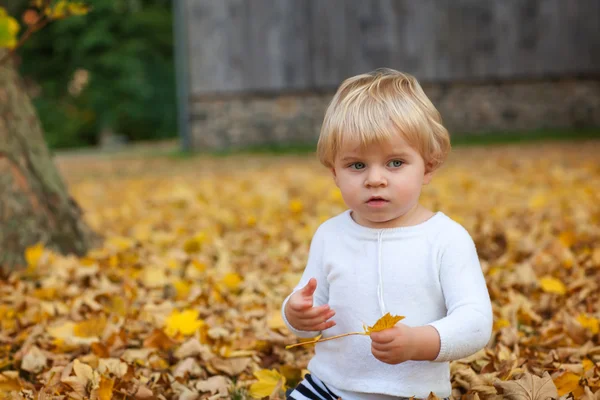 Játék: őszi parkban kisgyermek, kisfiú. — Stock Fotó