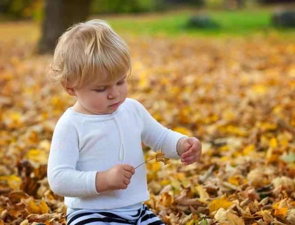 Little toddler boy playing in autumn park — Stock Photo, Image