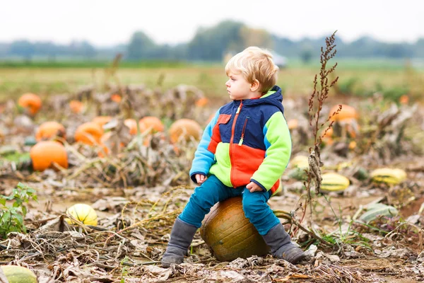 Toddler baiat having distracție ședință pe imens dovleac de Halloween — Fotografie, imagine de stoc