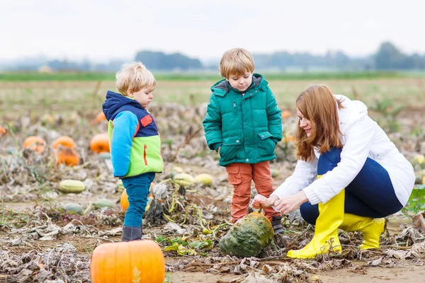 Mère et deux petits fils s'amusent sur le patch de citrouille . — Photo