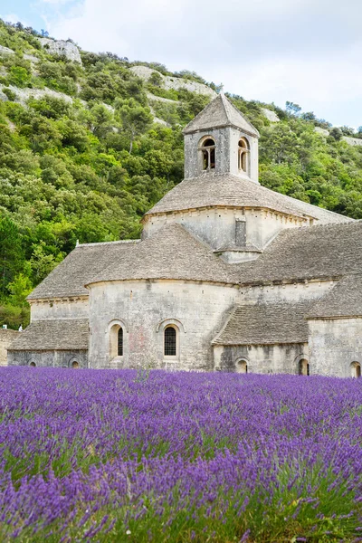 Biara Senanque dan mekar baris bunga lavender — Stok Foto
