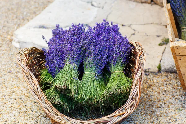 Geschäft in der Provence mit Lavendel und Vintageartikeln. — Stockfoto
