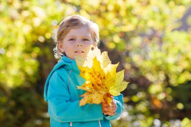 Parkta küçük çocuk çocuk ile sarı sonbahar yaprakları