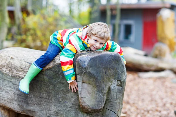 Petit garçon s'amuser sur l'aire de jeux d'automne — Photo