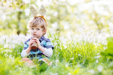 Paskalya bunny kulaklar giyen ve yeme çikolata sp komik çocuk