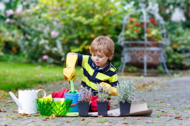 Funny little boy learning to plant flowers in home's garden clipart