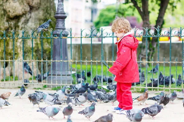 Bonito menino pegando e brincando com pombos na cidade — Fotografia de Stock