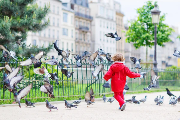 Bonito menino pegando e brincando com pombos na cidade — Fotografia de Stock