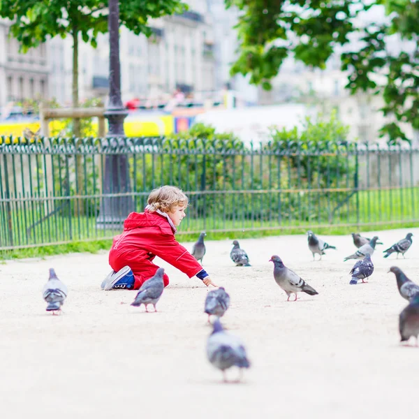 Netter kleiner Junge fängt und spielt mit Tauben in der Stadt — Stockfoto
