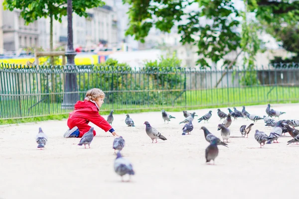 Cute little  boy catching and playing with pigeons in city — Stock Photo, Image