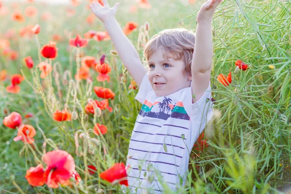 Mák virág a pipacs mező, a meleg nyári nap aranyos gyerek fiú — Stock Fotó