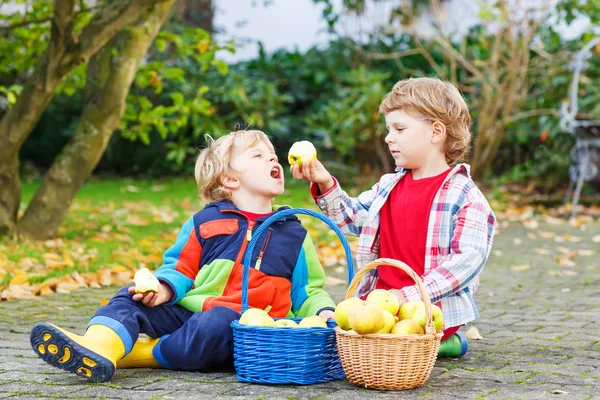 Two funny little boys feeding each other with apple — Stock Photo, Image
